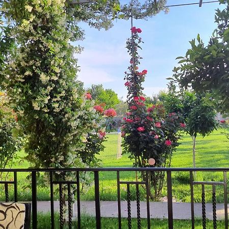 Room With Private Garden Shkodër Esterno foto