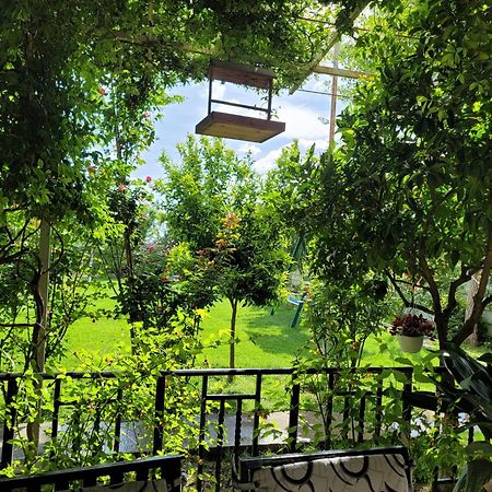 Room With Private Garden Shkodër Esterno foto