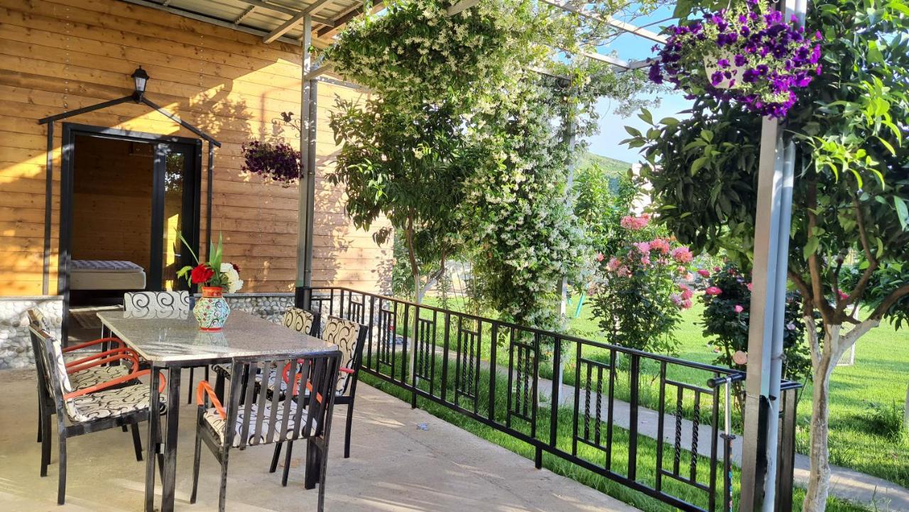 Room With Private Garden Shkodër Esterno foto