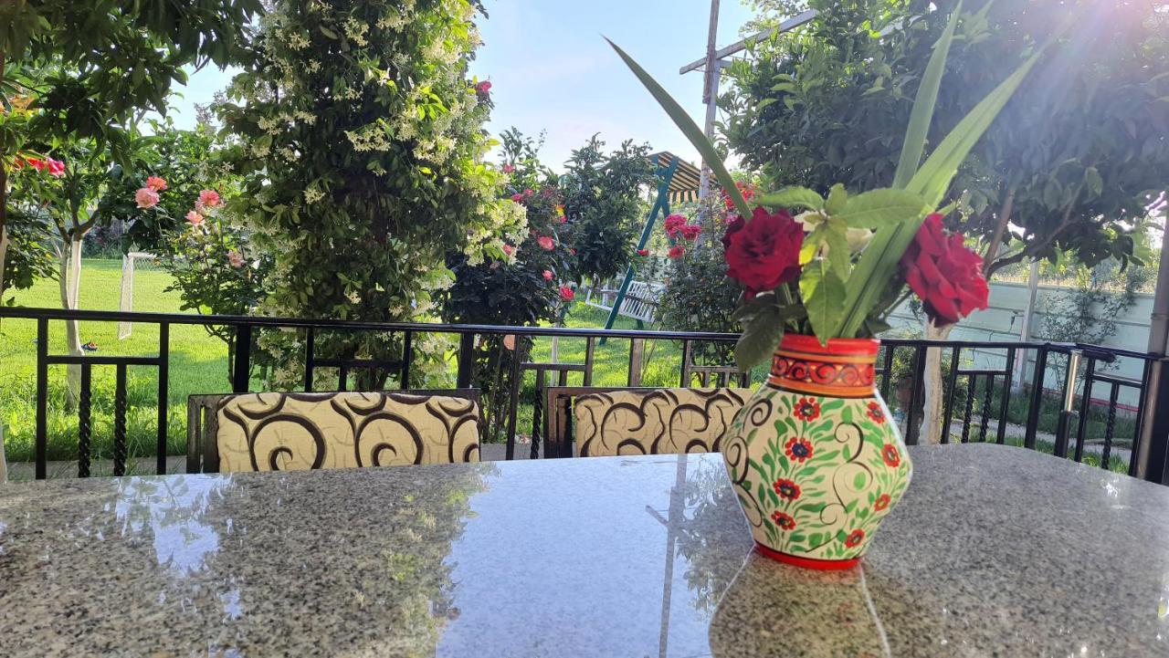 Room With Private Garden Shkodër Esterno foto